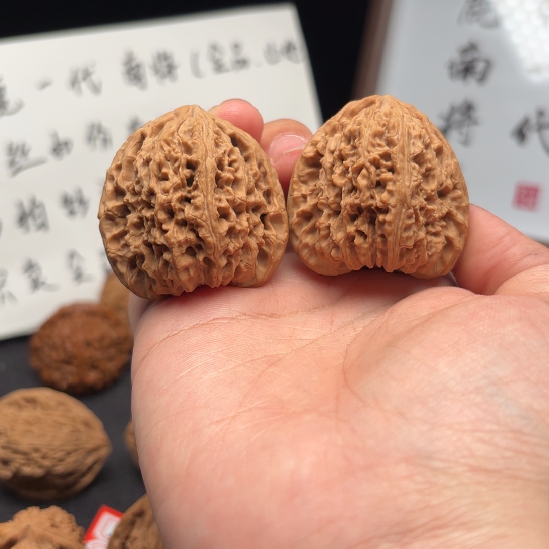 茶***道核桃涿鹿南疆一代