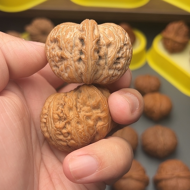 核桃44尺精配头货全品元宝