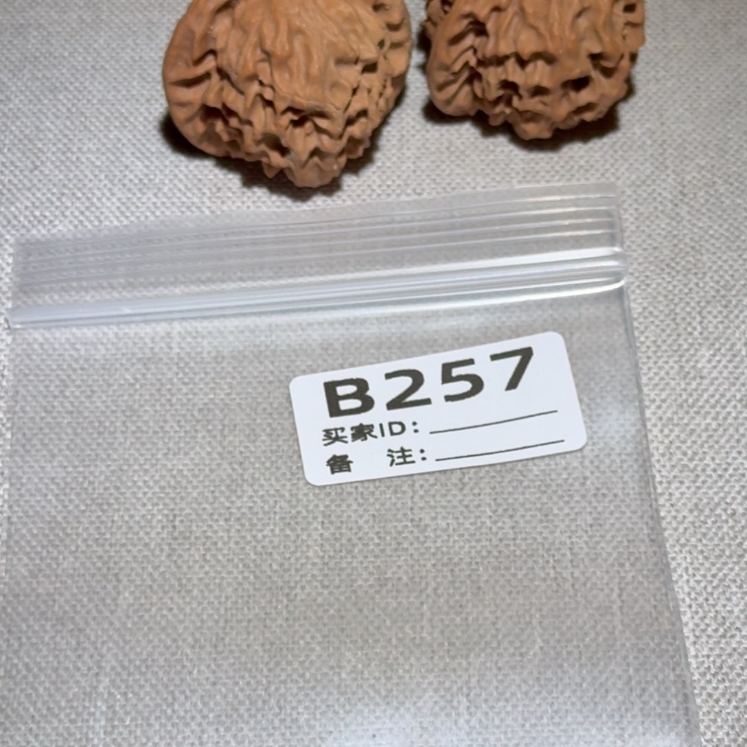 文玩核桃吊坠龙鳞257