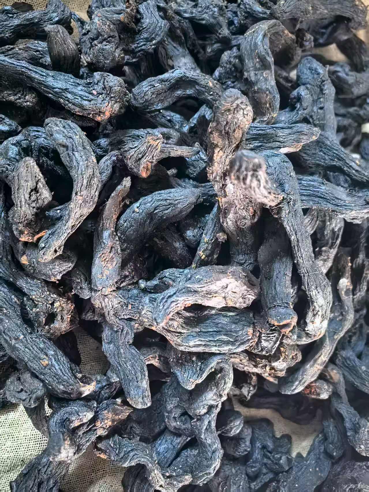 伏牛山八年生整根发货