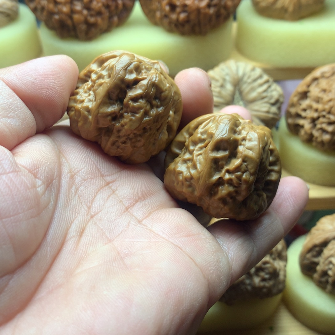 微微修蛤莫头36拍吧