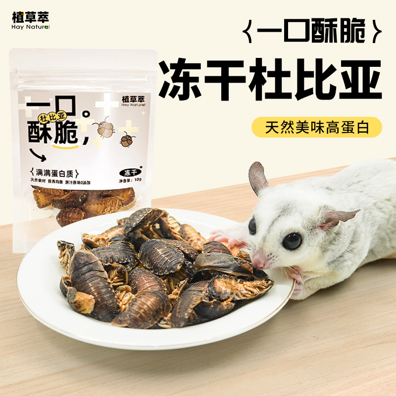 蜜袋鼯零食冻干杜比亚蟑螂高蛋白营养零食花枝鼠仓鼠蜥蜴守宫粮食