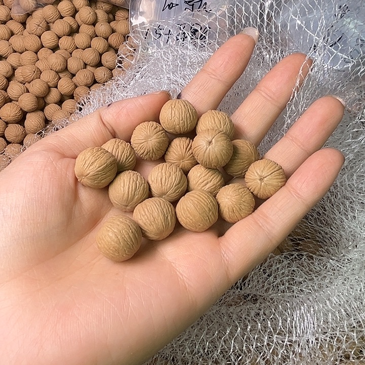 沐***楠手串猴头核桃苹果王100颗