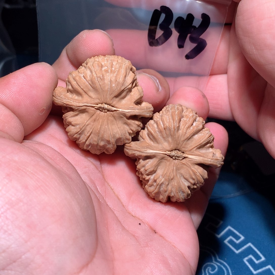 文玩核桃吊坠白狮 b43