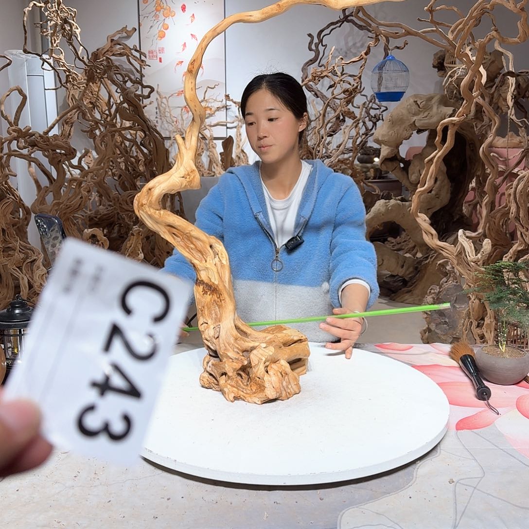 风车木（黑檀木）刘***活