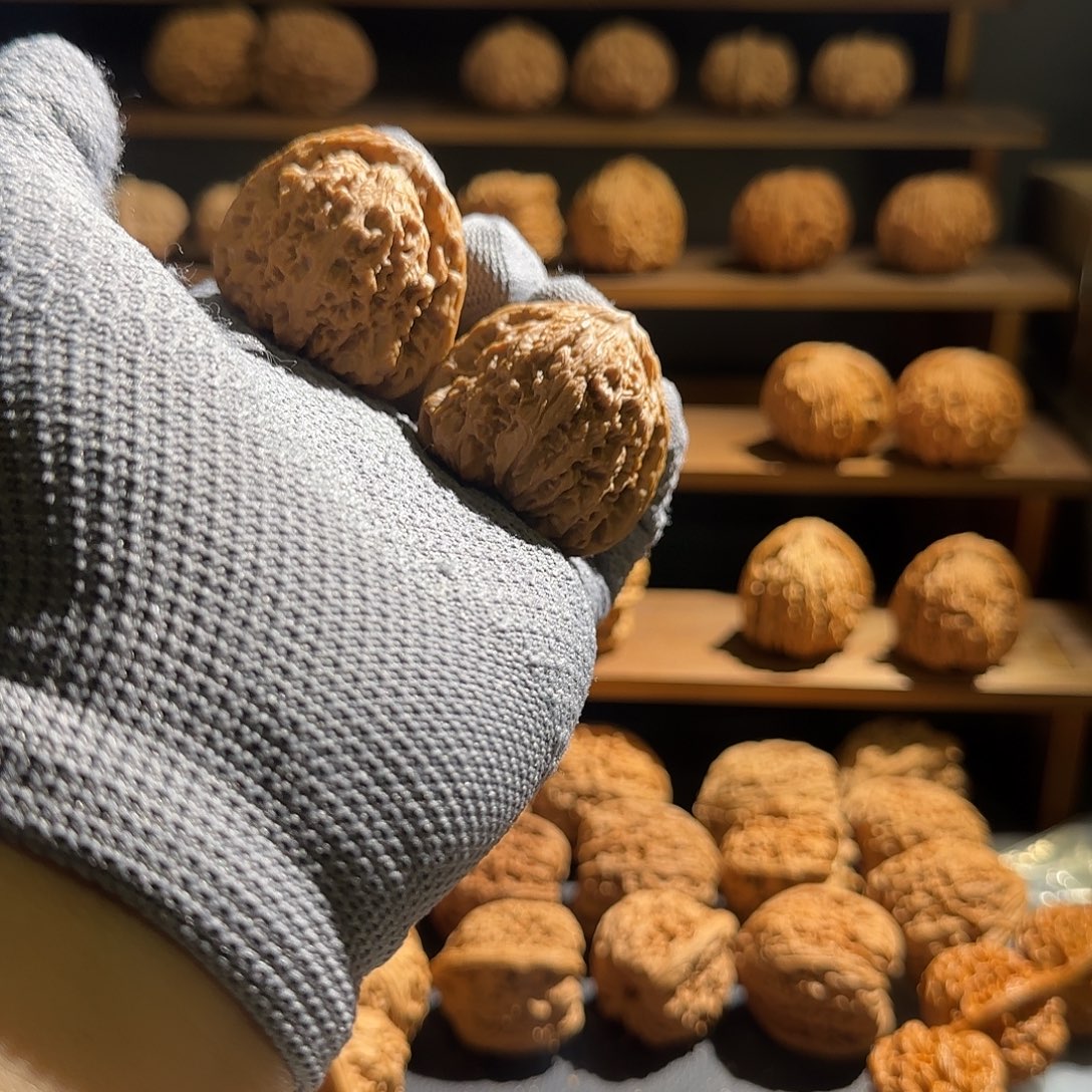 猫***海几核福利 41南疆石