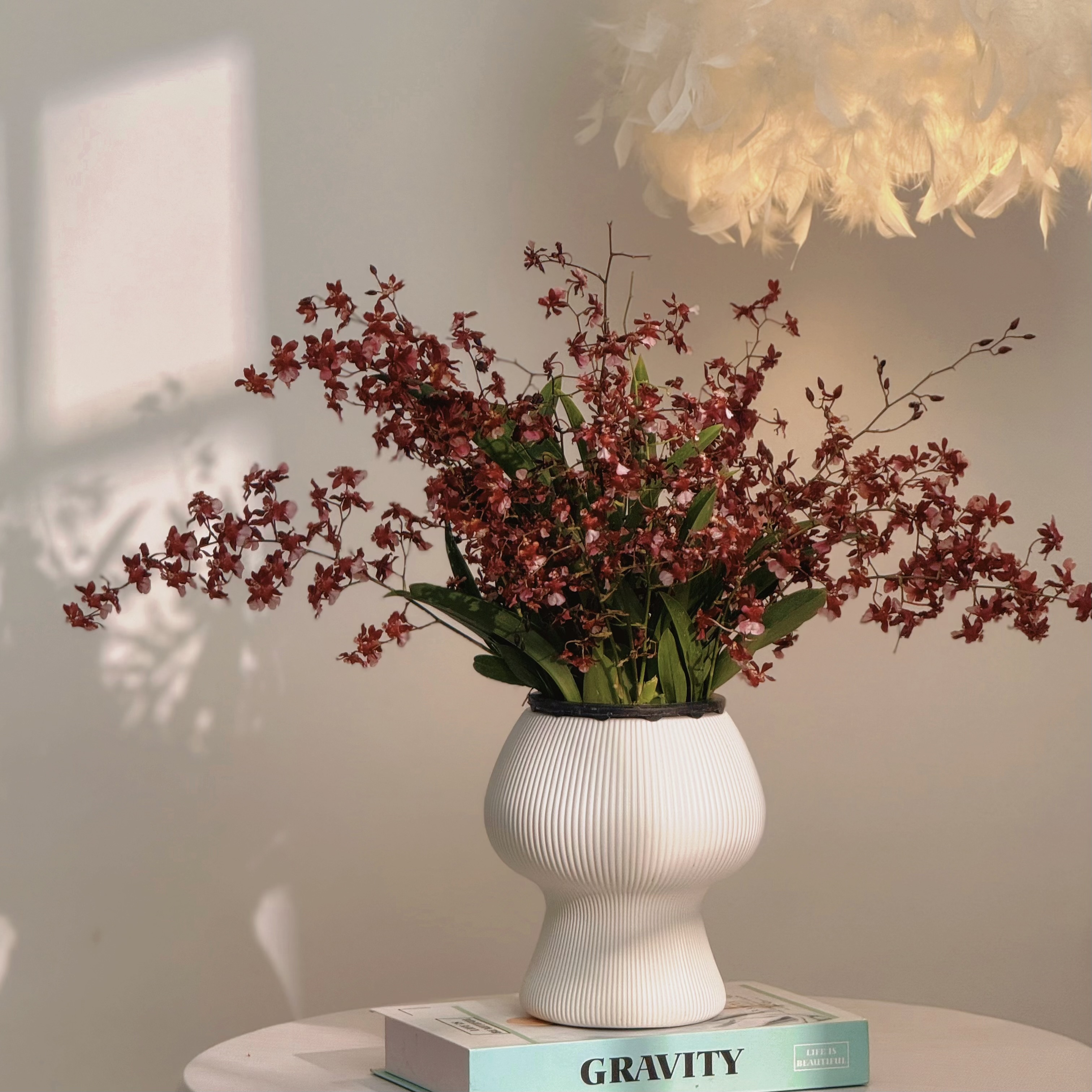 ［京东快递］7-10支花剑带蘑菇盆香水梦香兰盆栽兰花名贵花卉