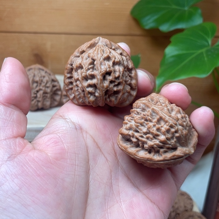 君***三角白   全品无修  