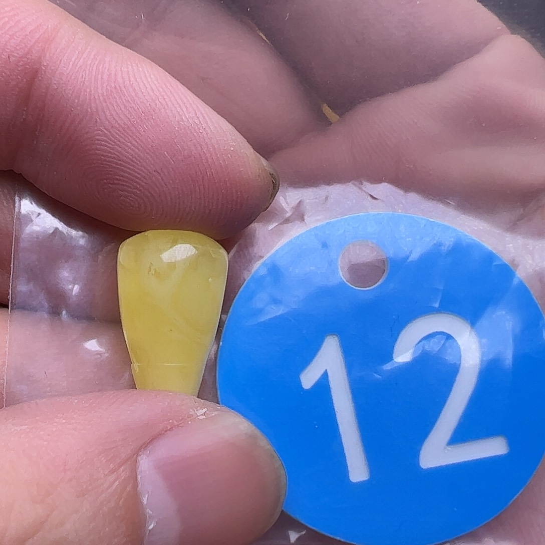 蜜蜡未镶嵌珠宝奇石11+mm微花粉