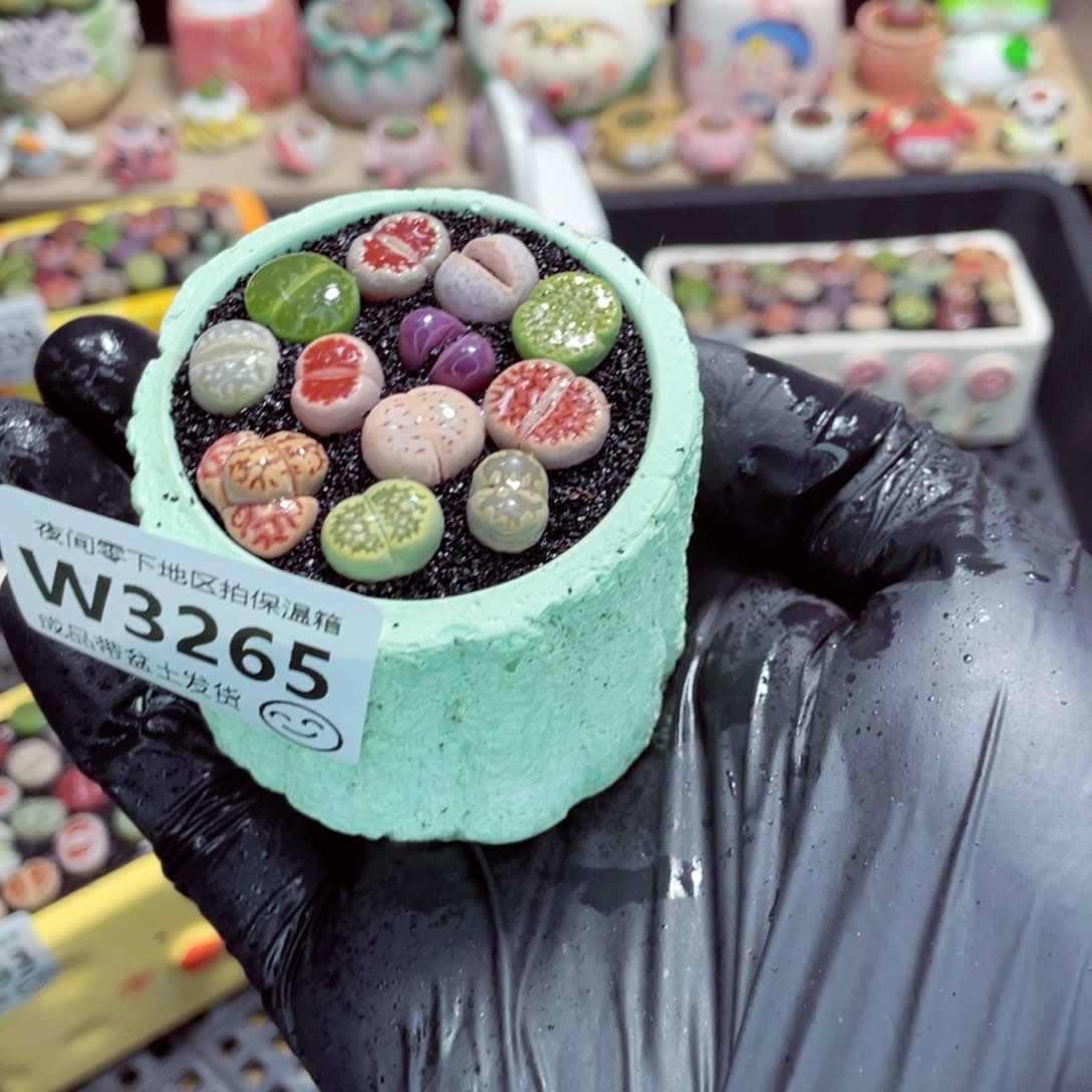 夜间零下地区拍保温箱w3265