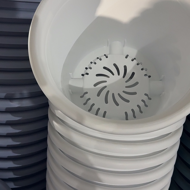 四季6号纯白无托10个特价微瑕