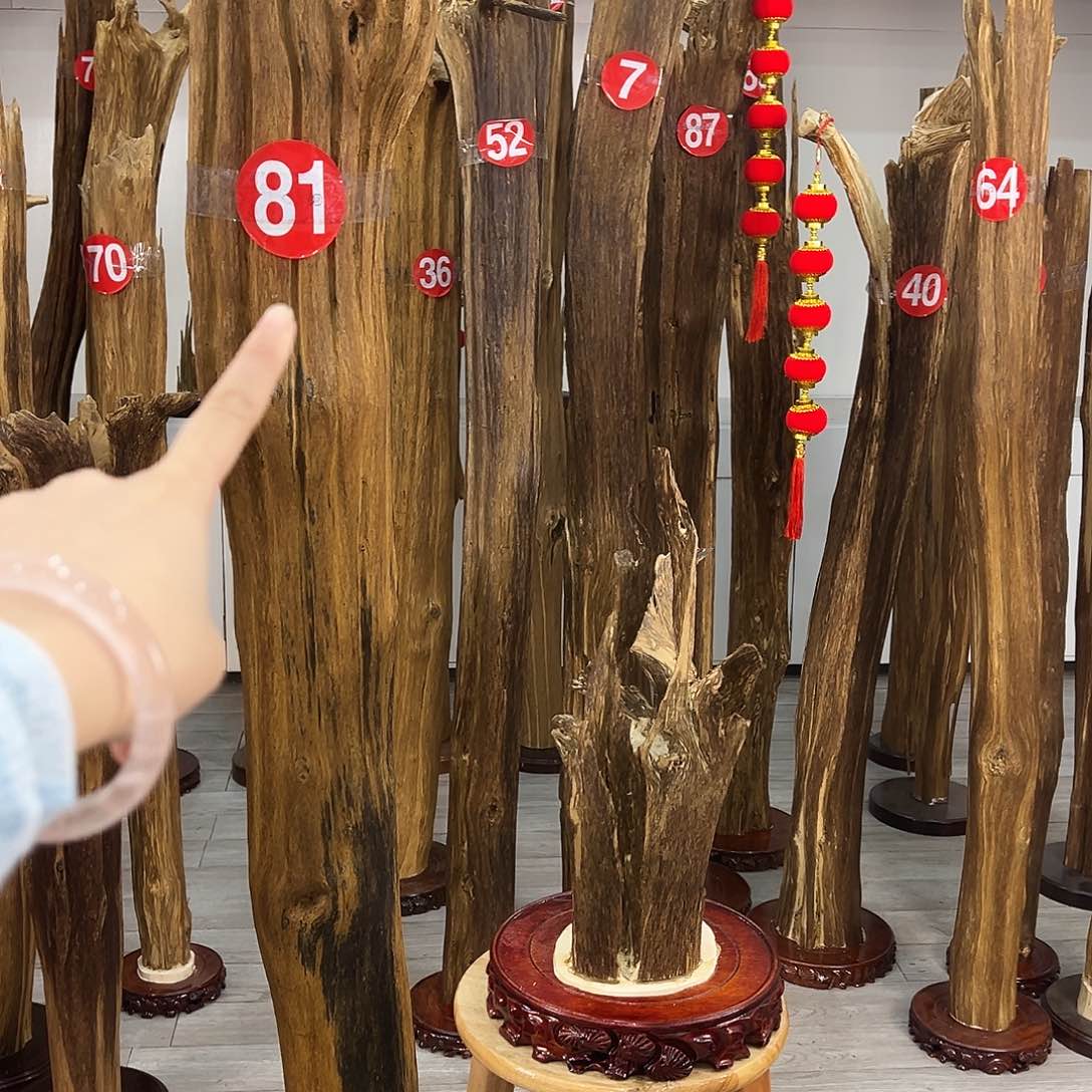 五**海中式天然香薰香粉香道