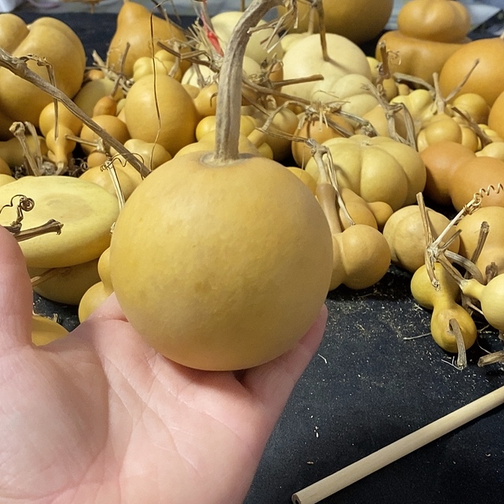 丸*子葫芦的颜色很好看啊