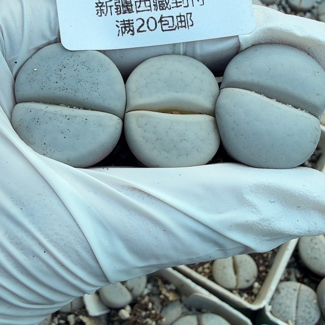 不会因为不知道怎么表达你014不