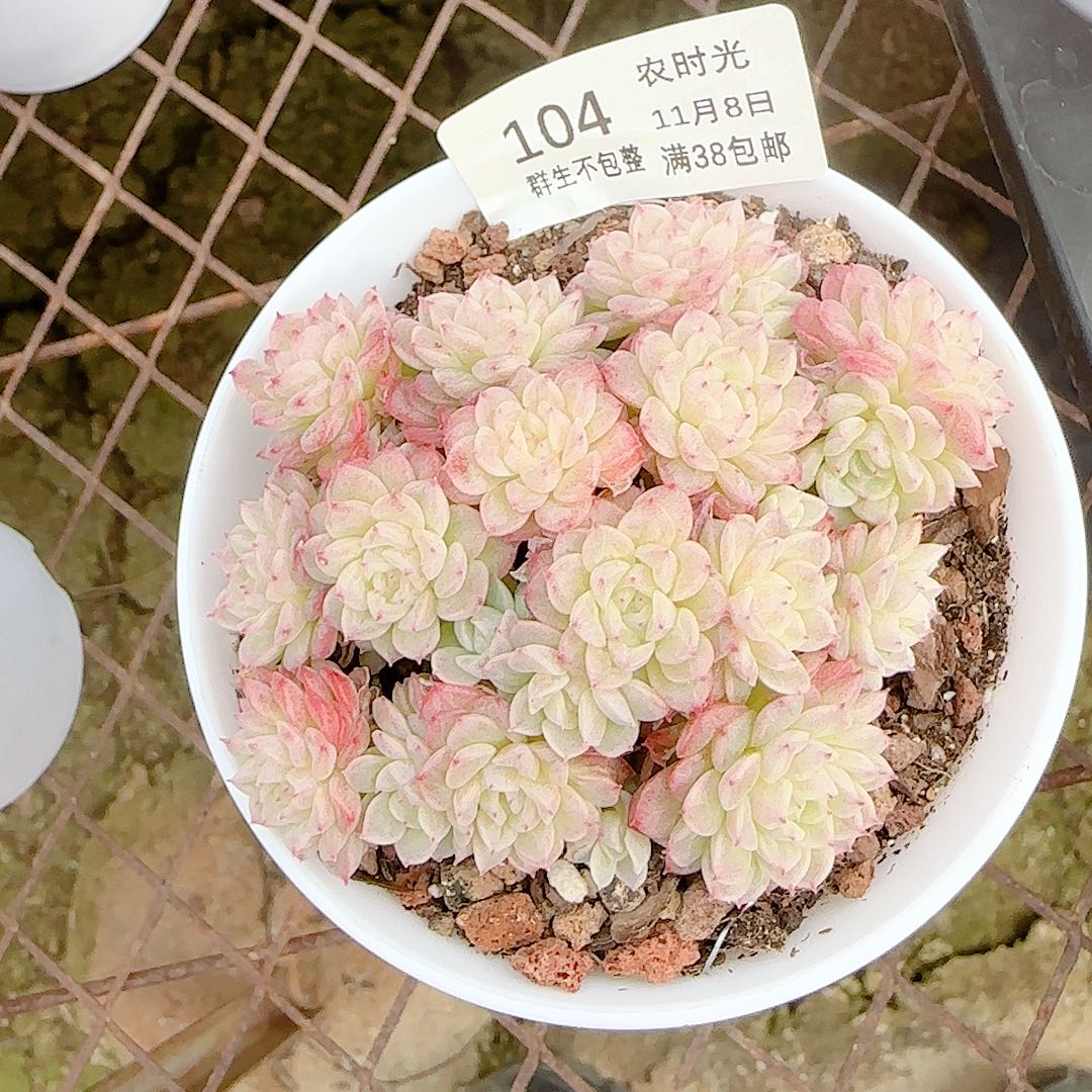 1108-104（fm-8-2）