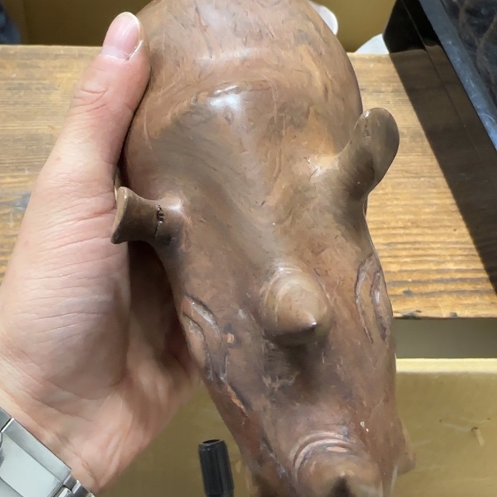 是*猫哈哈哈哈哈哈哈哈哈哈哈哈