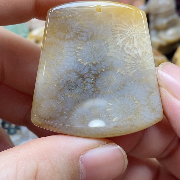 硅化珊瑚（珊瑚玉）颈饰未镶嵌