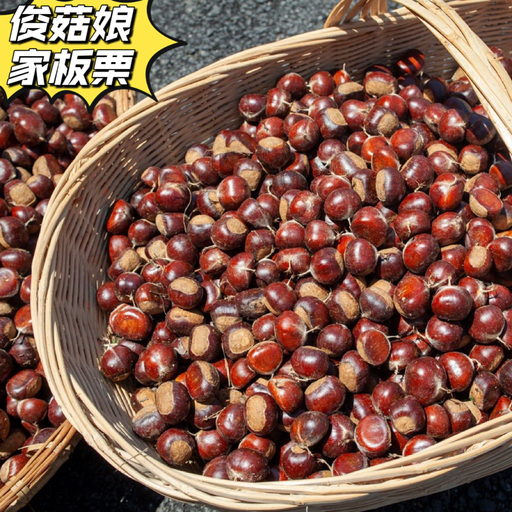 湖北随州新鲜老树板栗应季水果精选油栗子5斤包邮