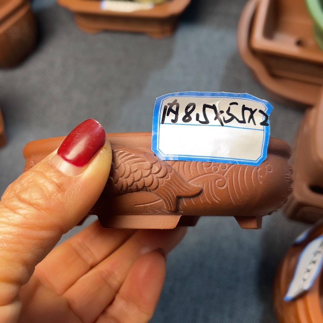 精选紫砂年年有余小椭圆盆