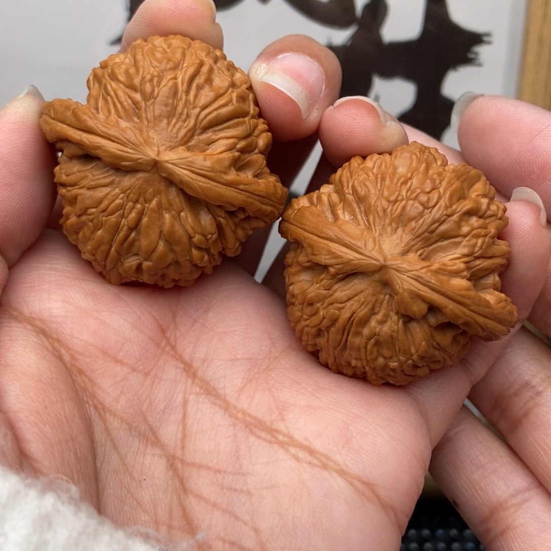 手串/手链核桃边39白狮子