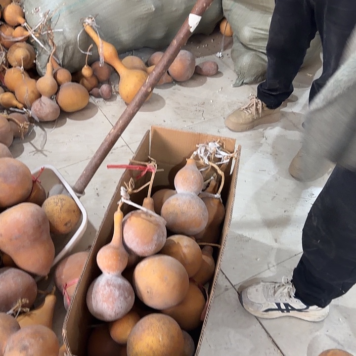 飞***扬葫芦葫芦等多种颜色可供