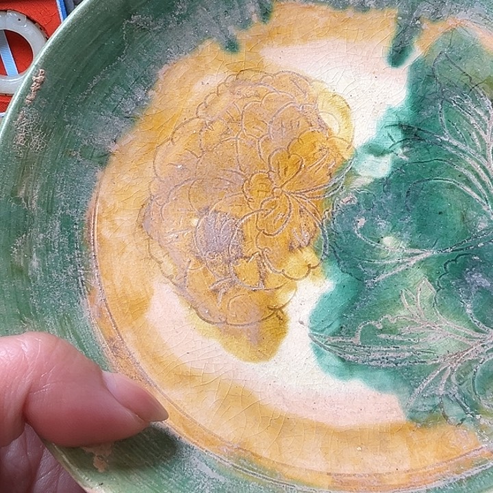 意***蝉你好你好你好你好你好你好你好你好你好你好你好你好你好