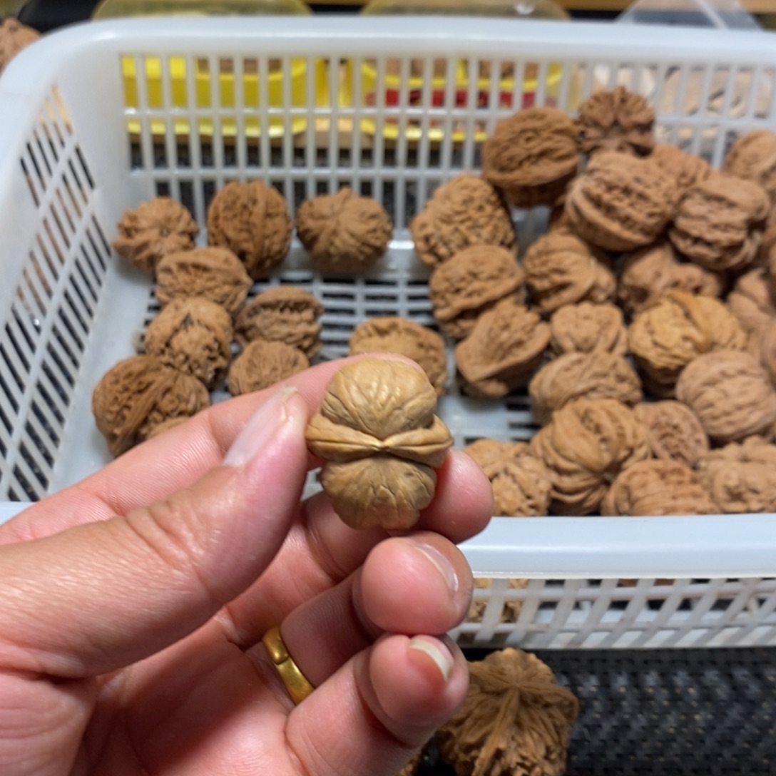 ****～文玩核桃吊坠核桃异形