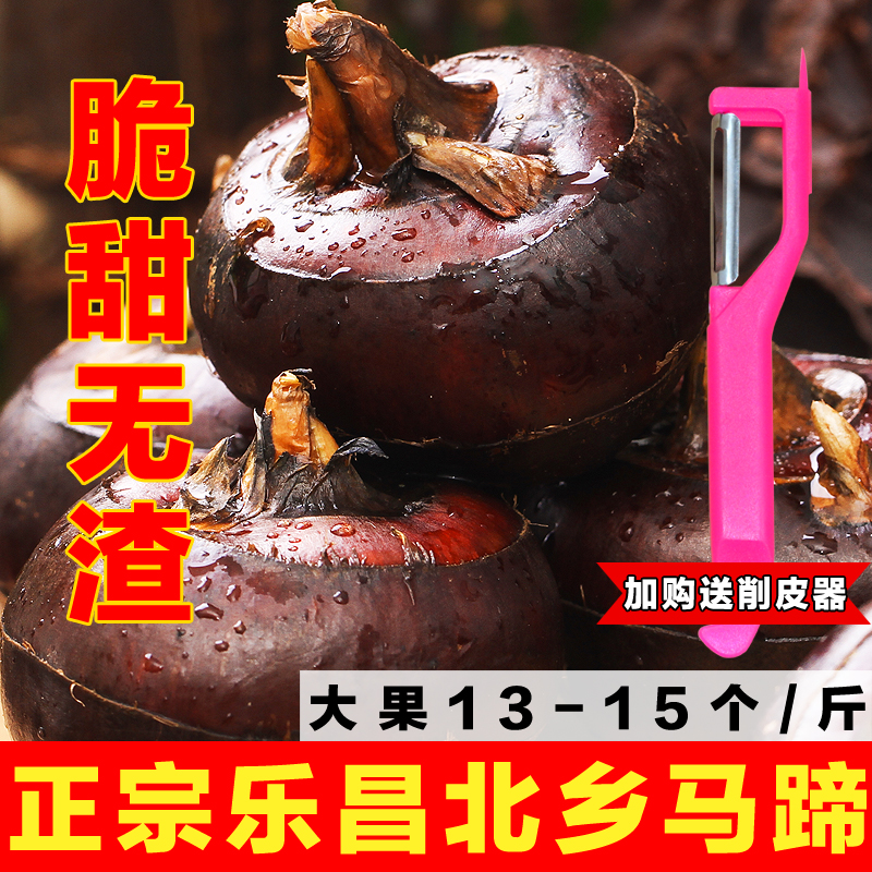 新鲜即食乐昌北乡马蹄 农家绿色蔬菜荸荠 水果地栗乌芋 韶关特产