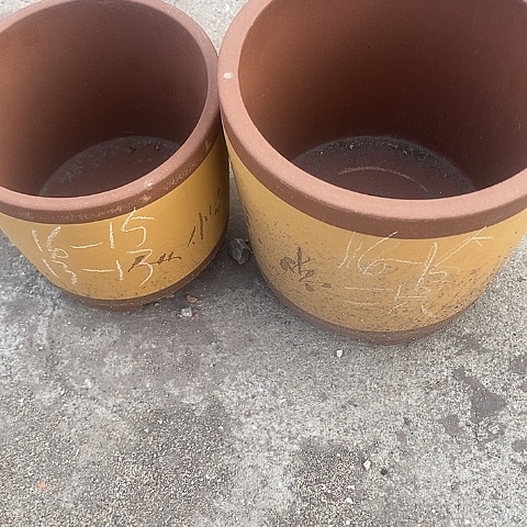 紫砂中国宜兴紫砂花，