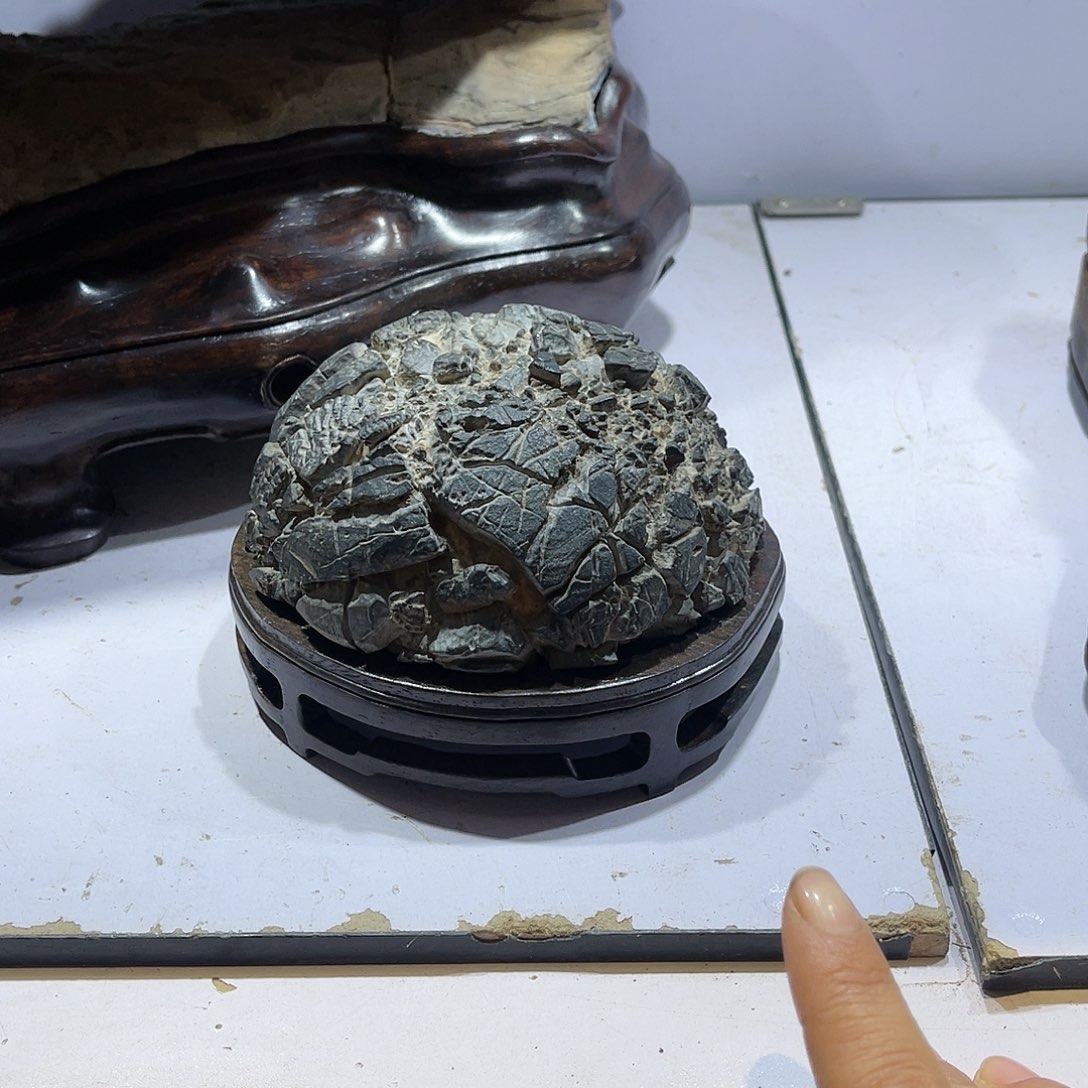 紫砂我在挑战鸟巢流浪木*山