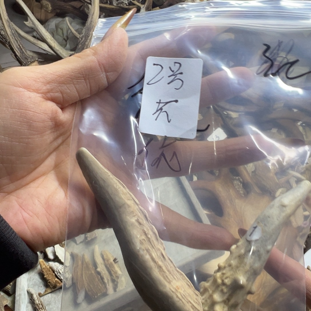 鹿骨手串/手链鹿角2