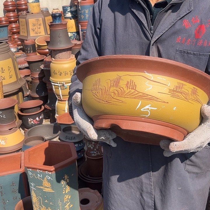 紫砂紫砂花盆和一条