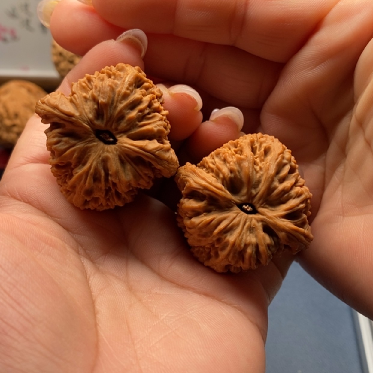 【闪购商品】9 南疆石高炮边39 精对