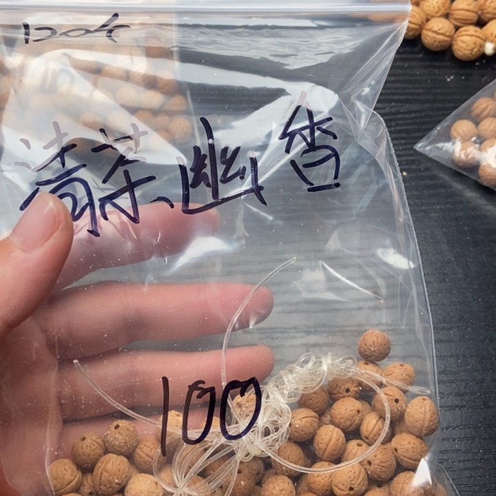 清***香散籽发货100福利款