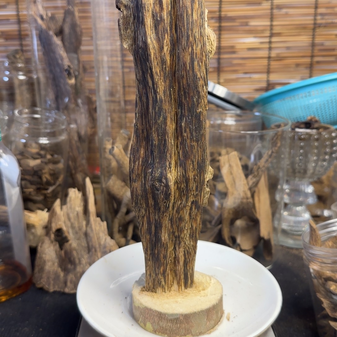 沉香碎屑沉香棋楠沉香101