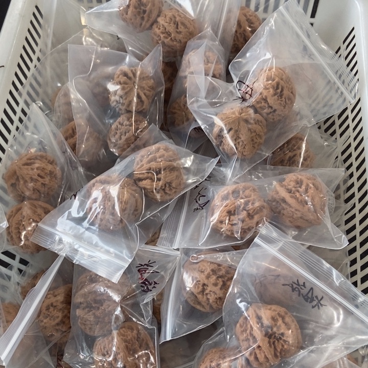 吊坠文玩核桃粗筋瑕疵