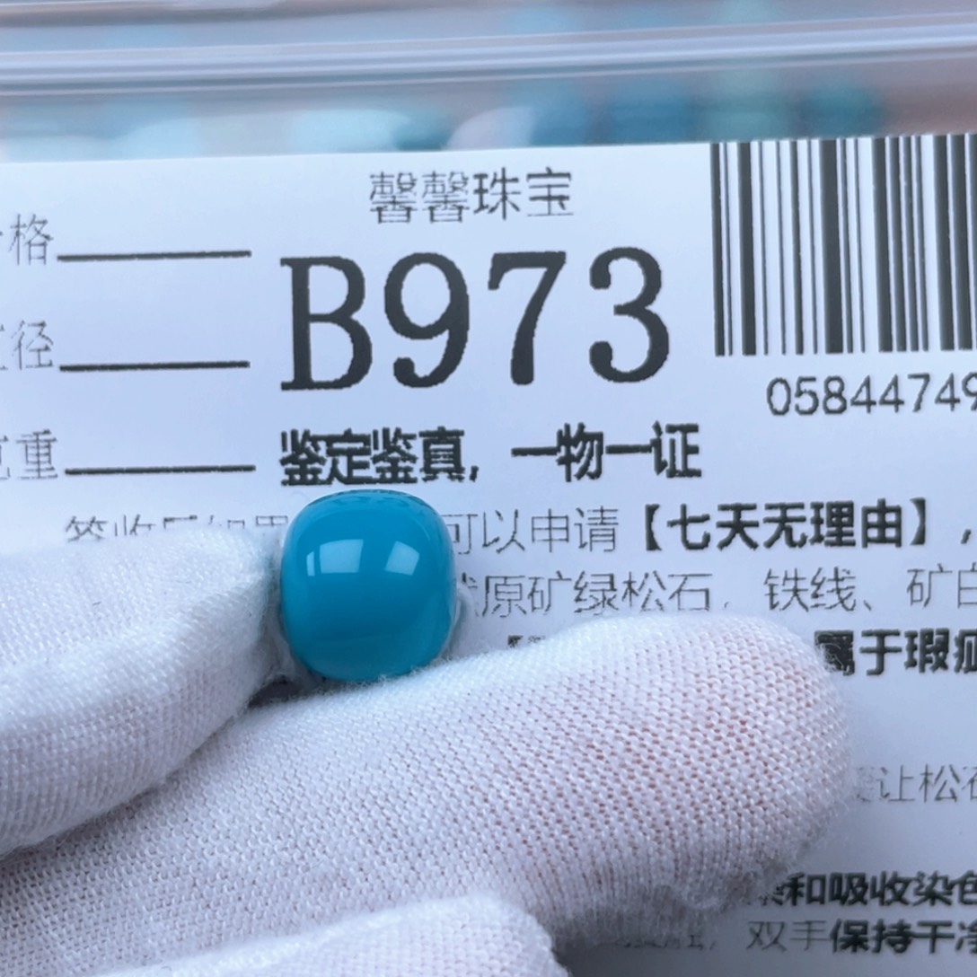 吃***鱼绿松石未镶嵌挂件