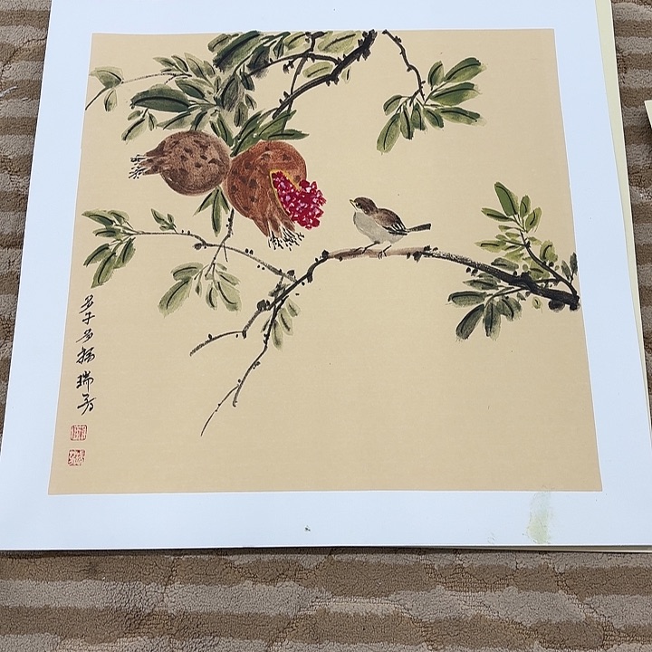 国画花鸟等多种鸟类和鸟类50.50