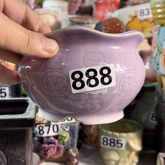 红陶多肉植物花盆