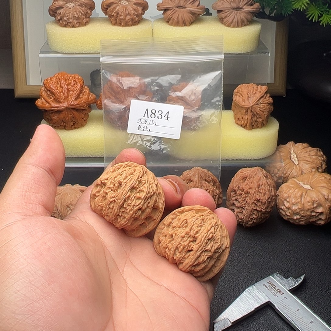 A834密纹红宝石38尺全品