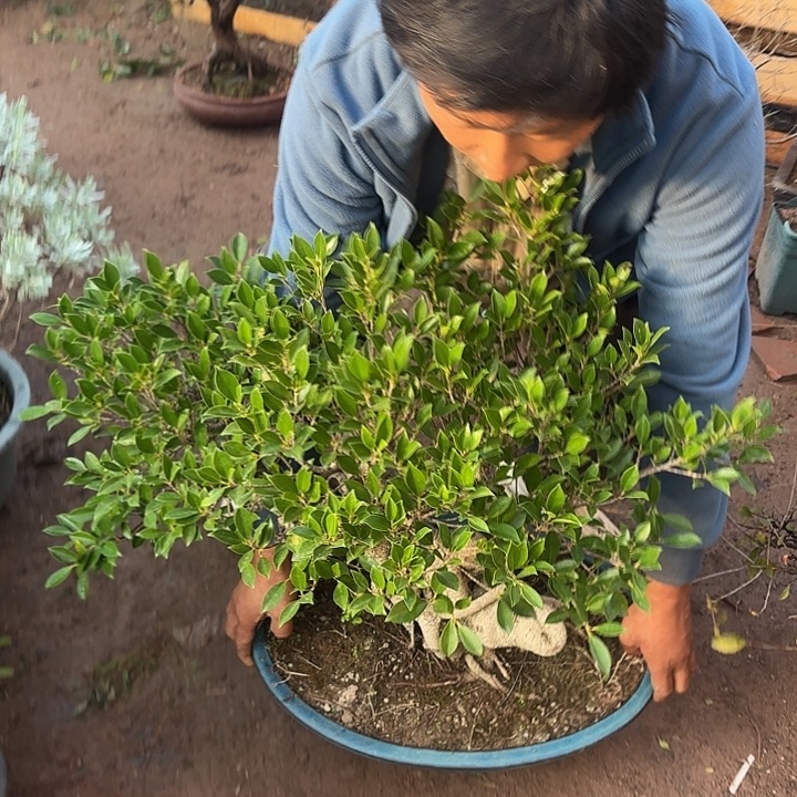 串***哥无花朵哈哈哈哈哈哈