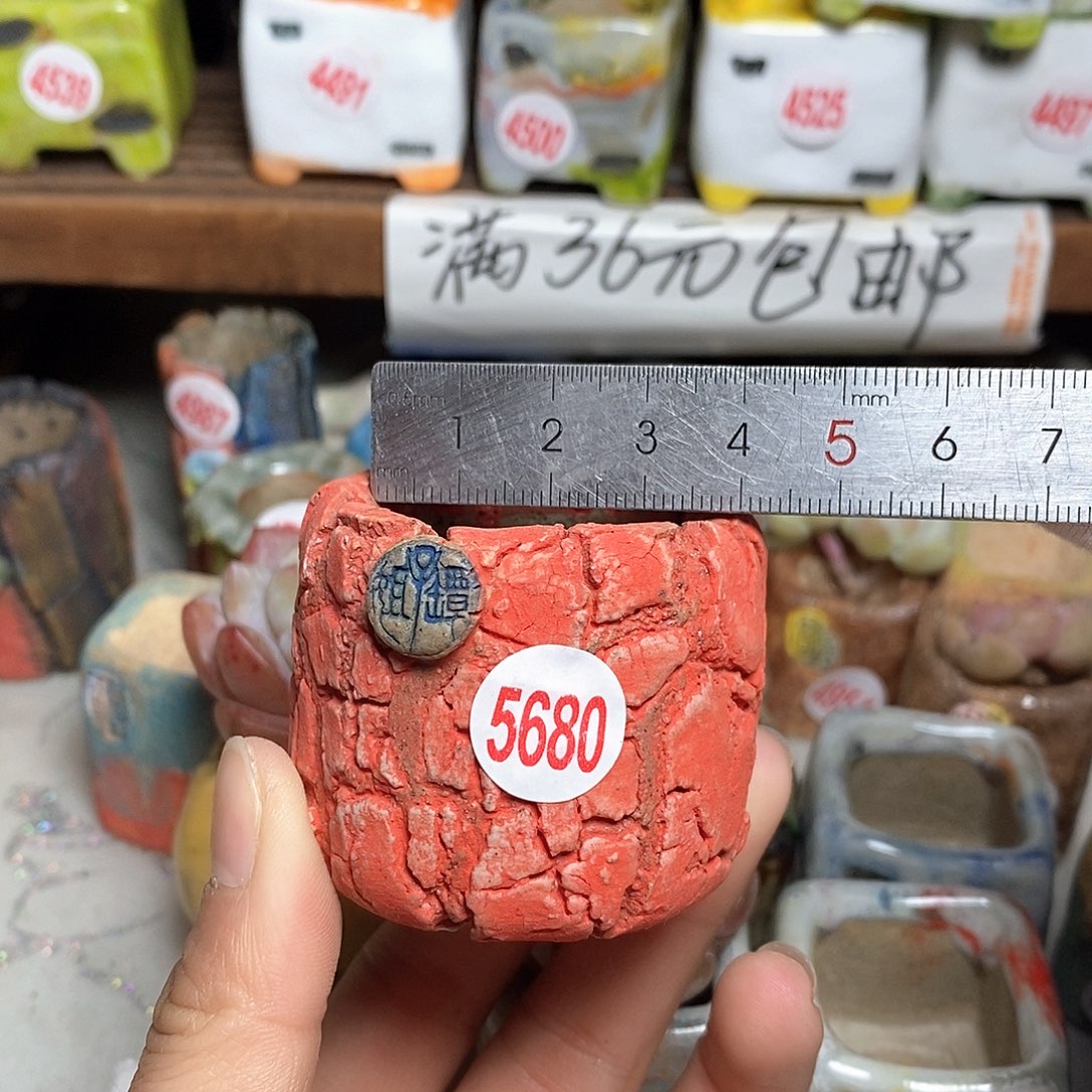 红陶拍5送一个小