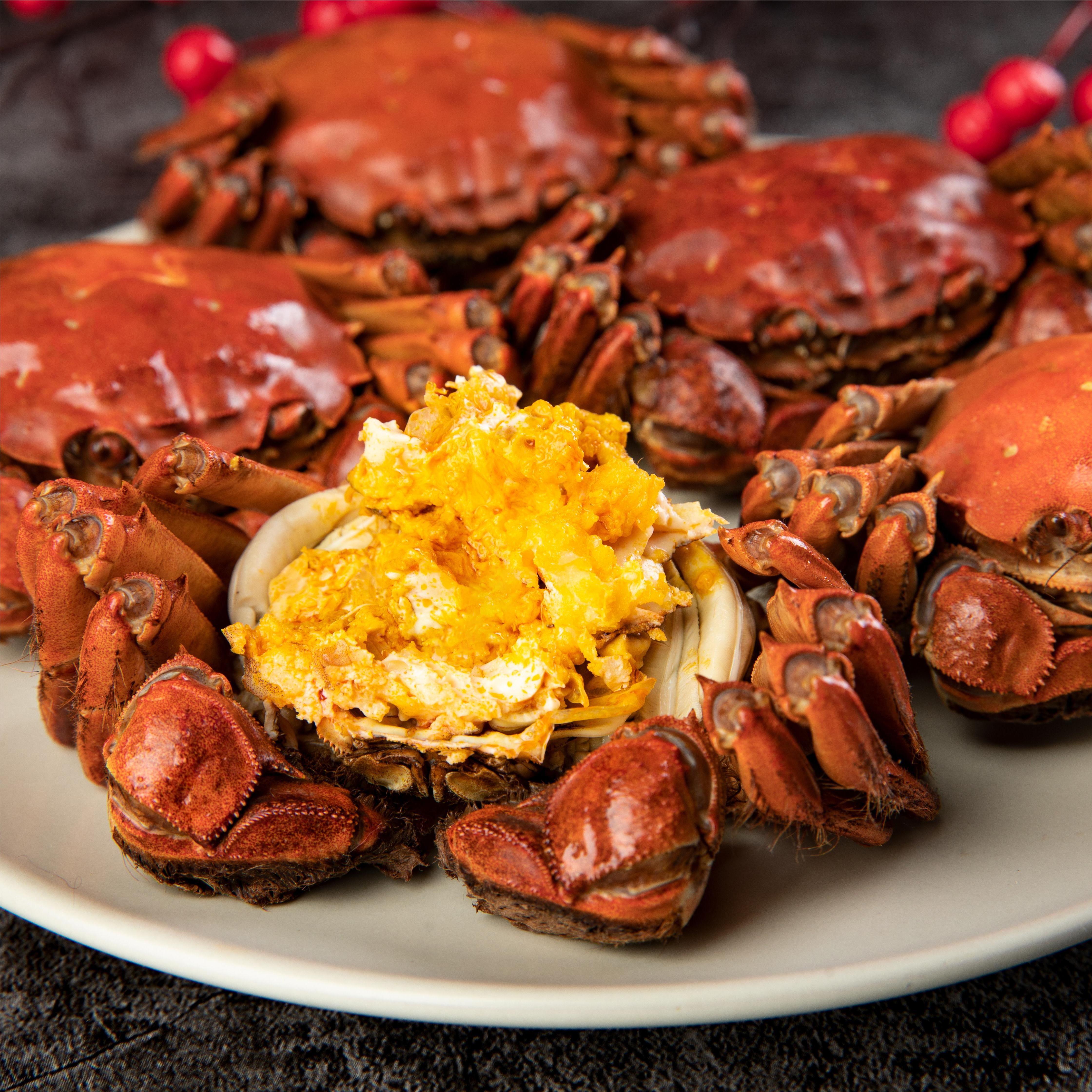 【金标大闸蟹】全母蟹4.5-4.2 两 到手8只 礼盒顺丰w