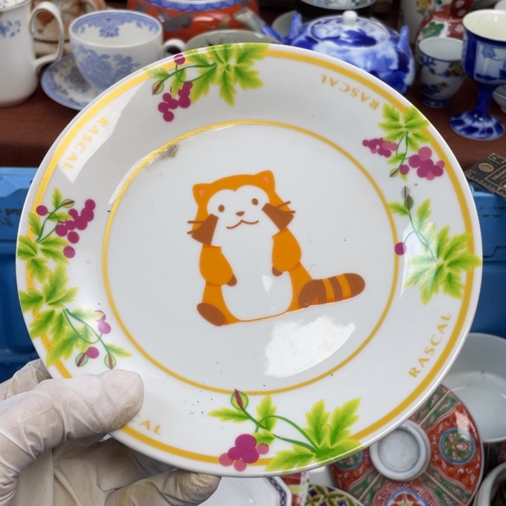 陶他家瓷器真美…开播了