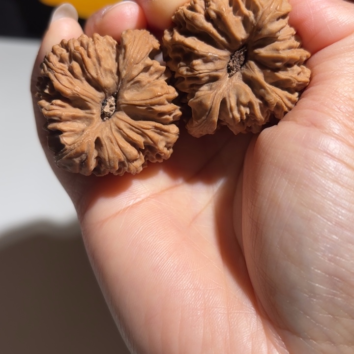 五***）大叶紫檀（黑酸枝木类）