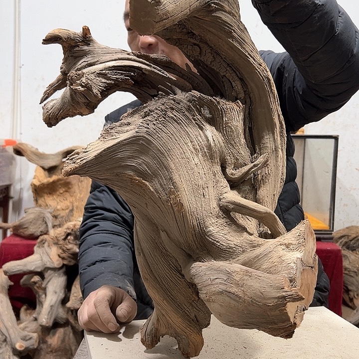 柏木宇*我们的生活也是如此