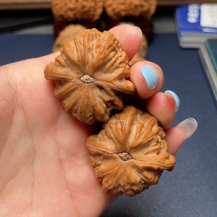 文玩核桃手串白狮子