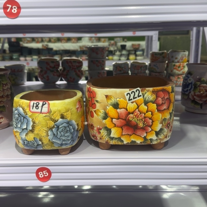 红陶田小姐多肉花盆