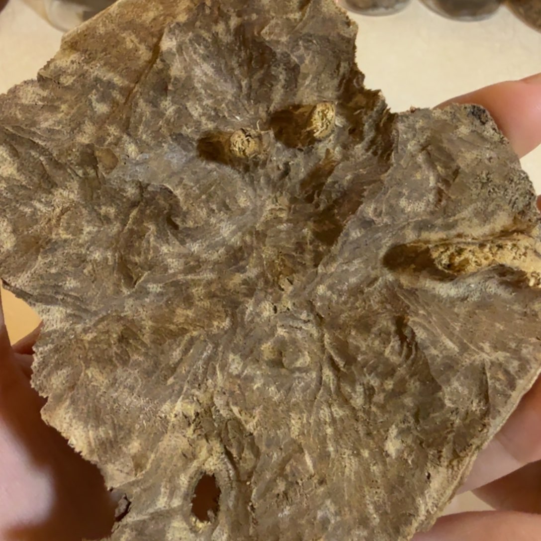 版头熏香料10.8克多样性发一