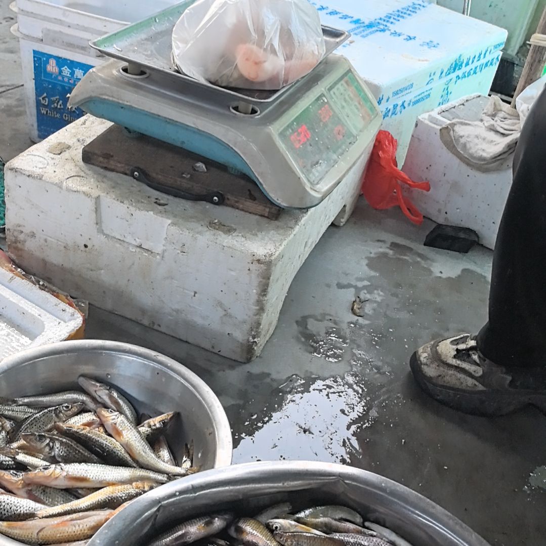 石台小李代购石班鱼鱼籽